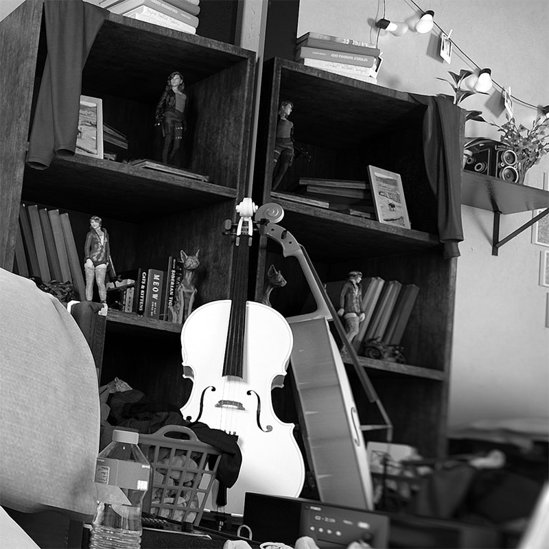 Sakirah Rodaun - Packing 
Focus Cello, bookcase, action figures